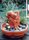 Cat on a Rock in Lotus Bowl